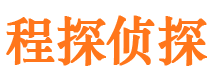 额尔古纳市调查公司